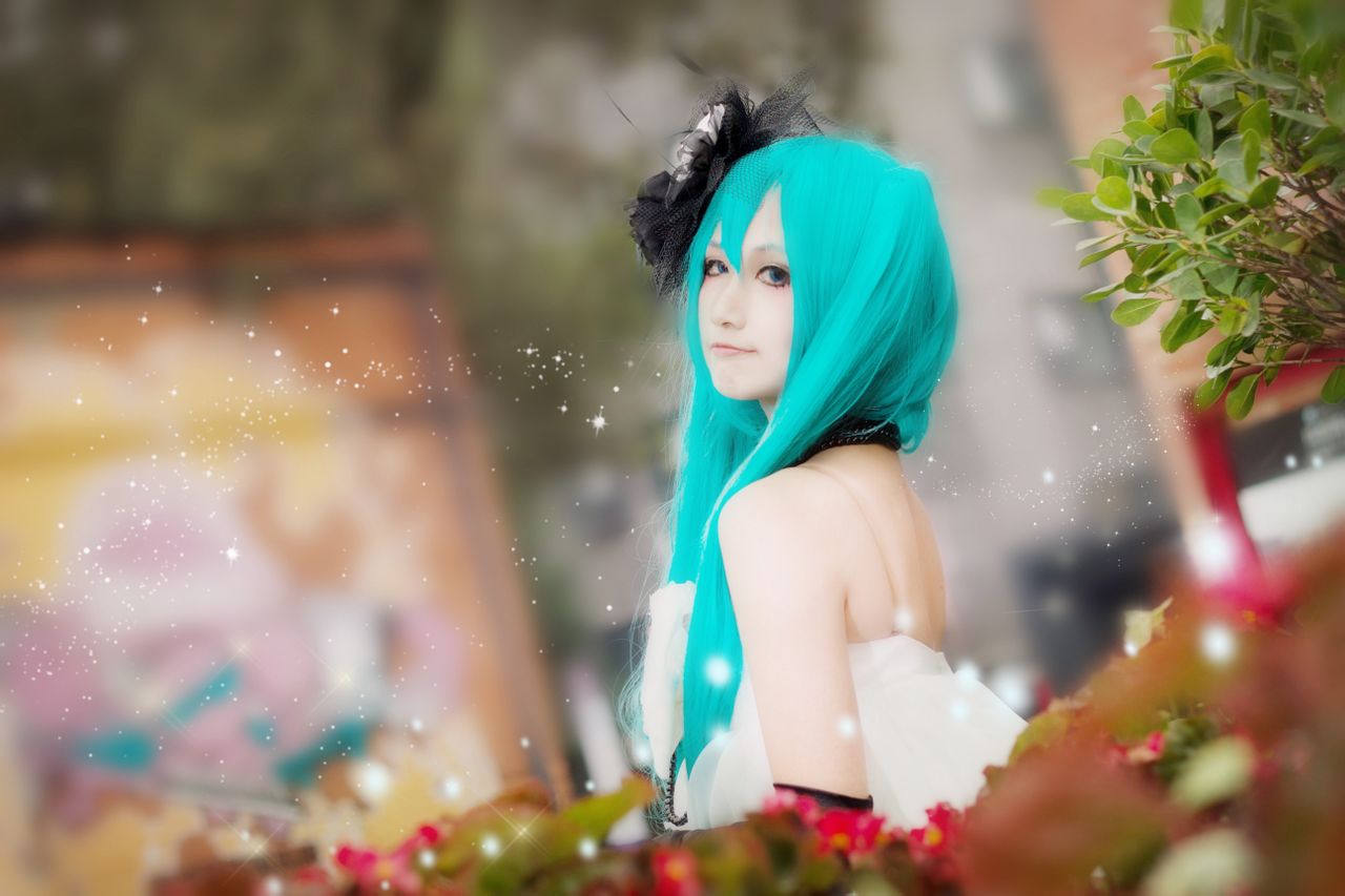 山茶花，MIKU and GUMI 第1张图