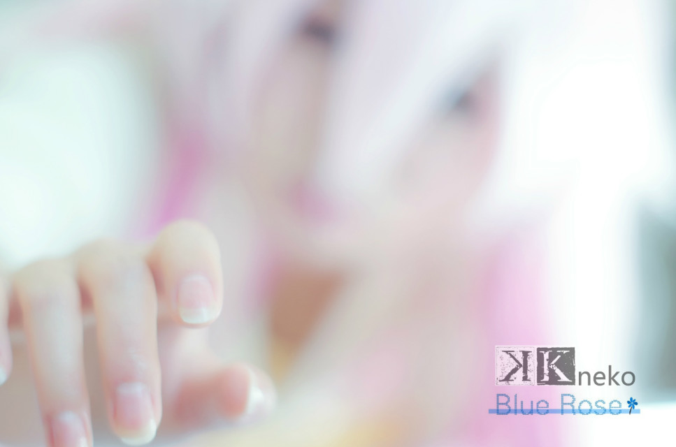 《K》==neko 第1张图