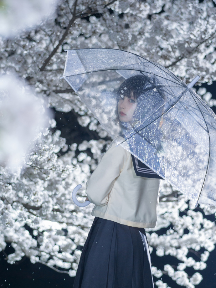 雨中花 像云的花 第1张图