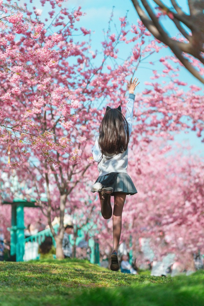 樱花JK 第1张图